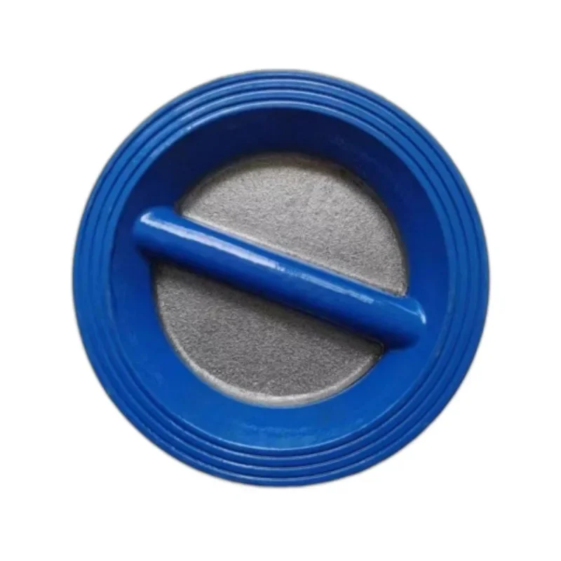 

Butterfly Wafer Check Valve DH77X-16 Ductile Iron Double-disc Check Valve