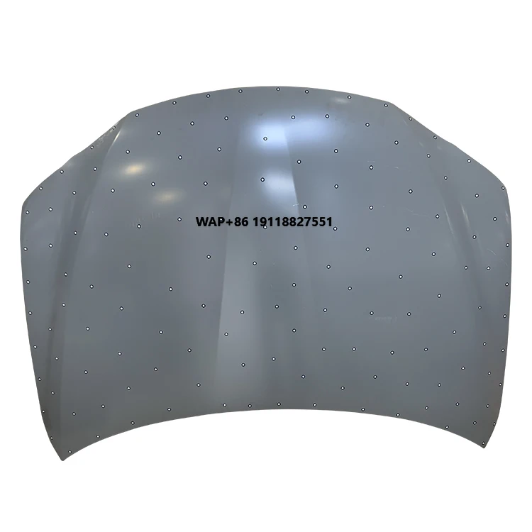 

Replacing Car Body Parts Hood for CT200 2011