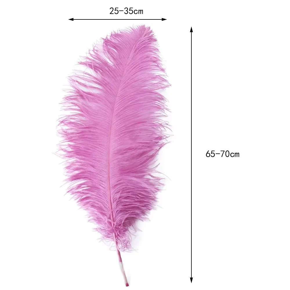 65-70 cm Natuurlijke Struisvogelveren voor Ambachten Bruiloft Woondecoratie Pennen Accessoires Vaas Tafel Centerpieces Vliegende pluimen - afbeelding 2