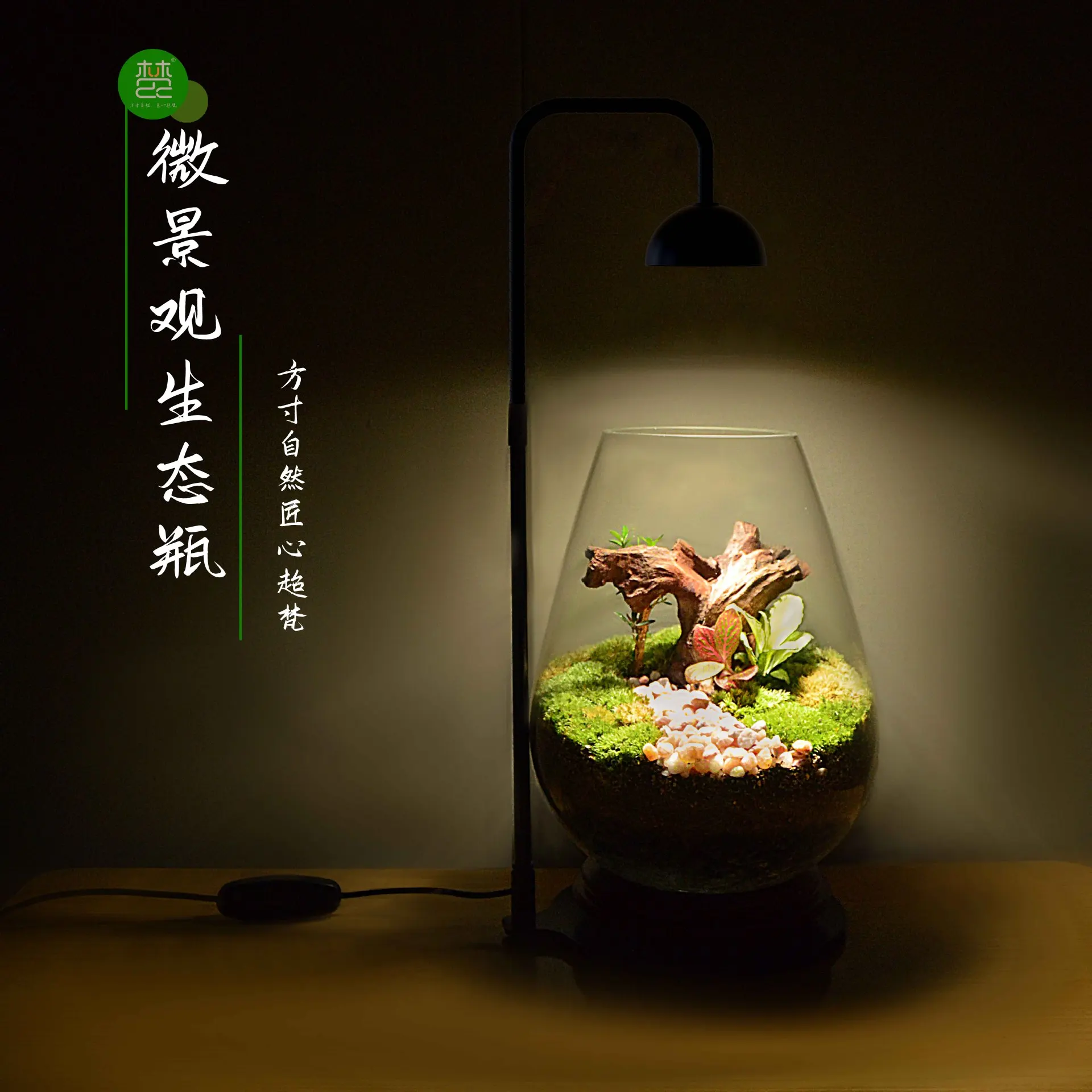 USB LED Timer Micro Landschap Licht voor Mos Plantengroeilamp