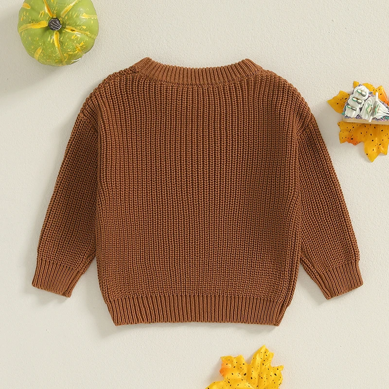 Thanksgiving Sweater Toddler Baby Girls Boys Size 0-18M Knit Sweater Long Sleeve O Neck Letter Embroidery Pullover Knitwear