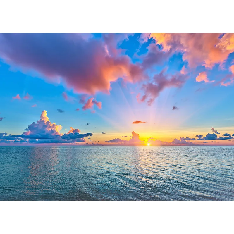 Zomer Tropische Zee Strand Palmen Boom Fotografie Achtergrond Natuurlijke Schilderachtige Foto Achtergronden Fotostudio Props 2133 HHB-02