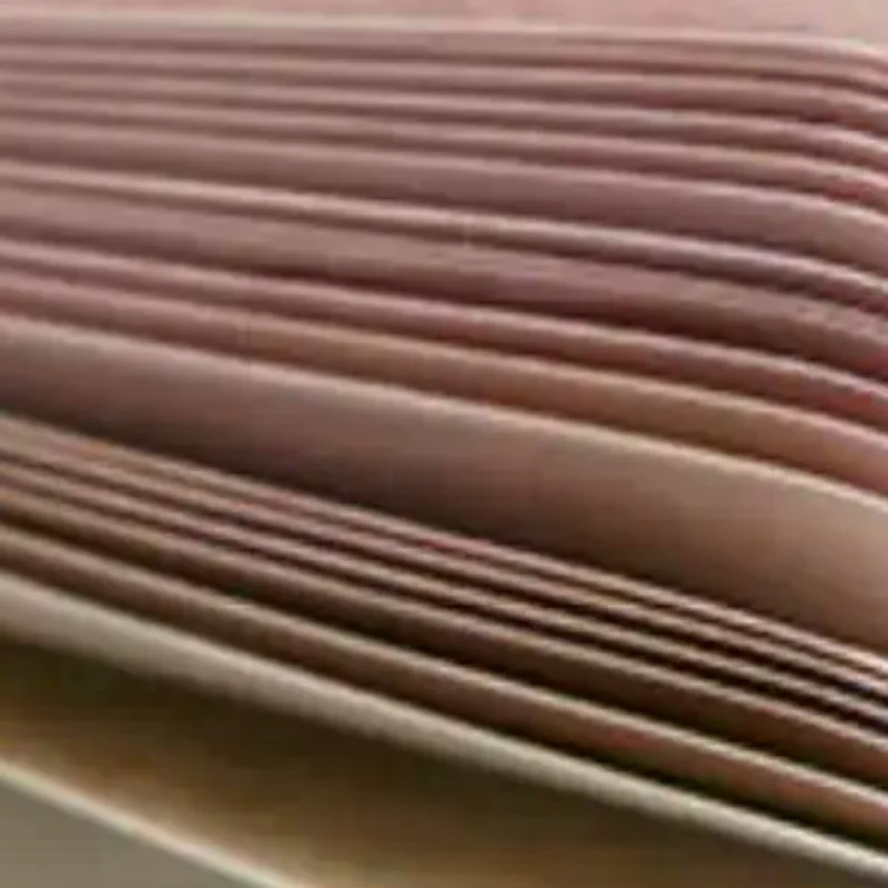 240Sheets Large Capacity Adhesive Animal Shaped Memo Pads Cartoon Cute And Interesting Animal Shaped Sticky Notes
