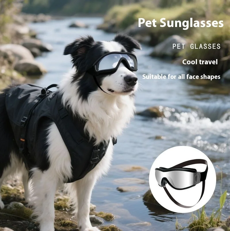 Gafas de sol para mascotas, gafas protectoras a prueba de viento para perros, para Corgi Border Collie Golden Retriever Teddy Maine Coon Cats