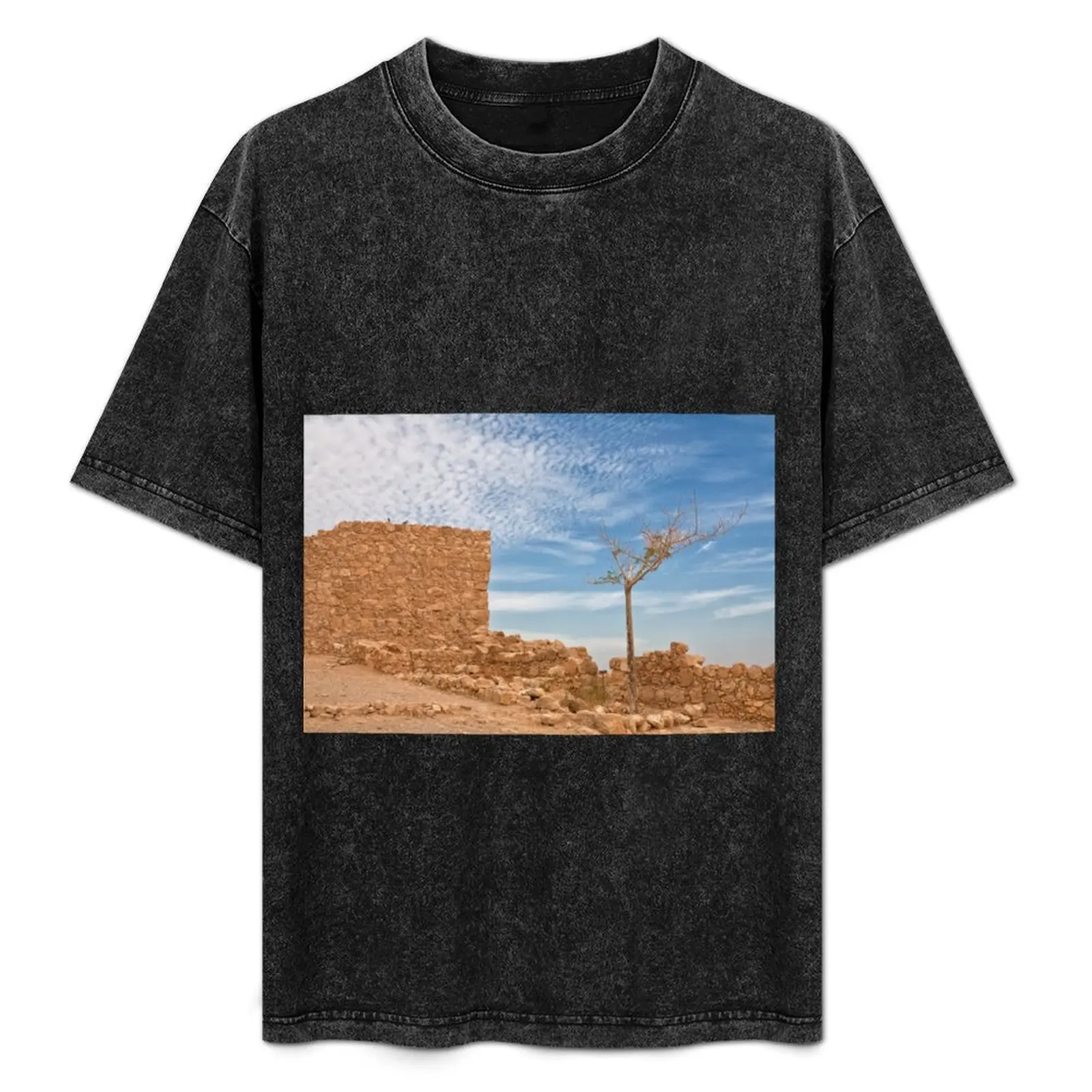 

Masada T-Shirt t shirt for man 100 percent cotton t shirts for man cotton T-Shirt