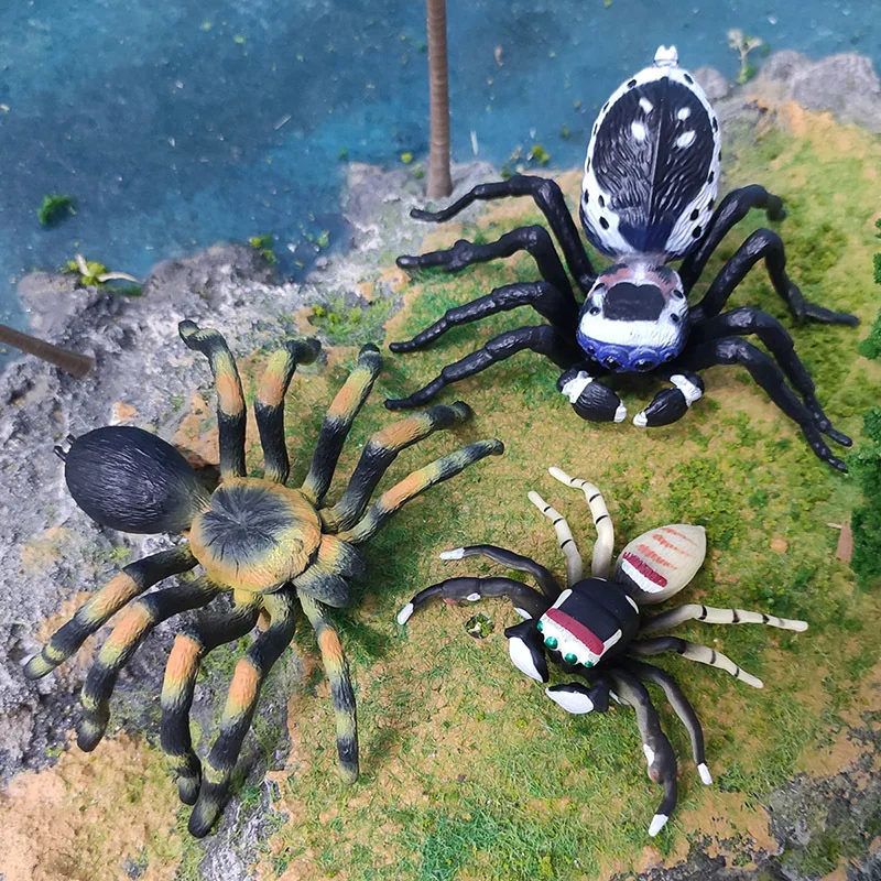Simulation of Insect Animal Model, Red and Blue Jumping Spider Peacock Spider, Striated Fly, Static Ornaments Toy, Original