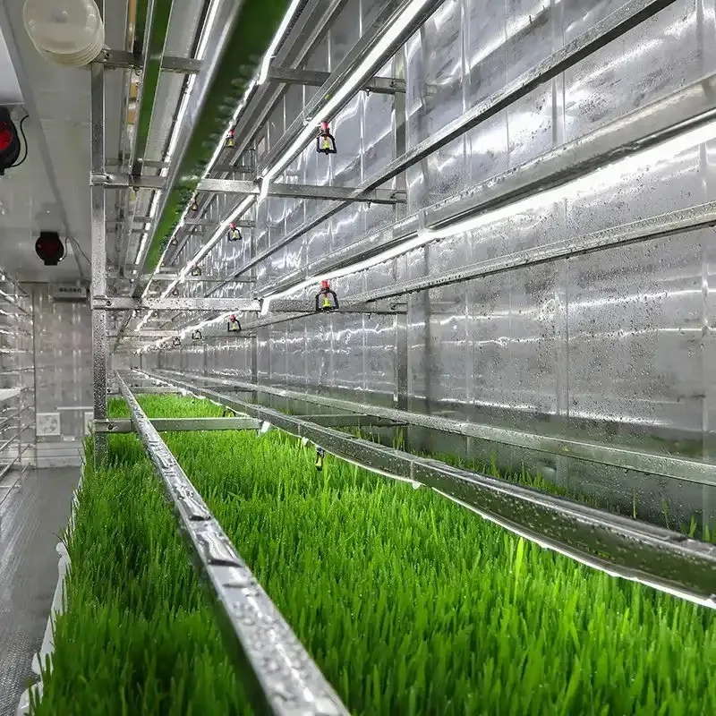 40ft Vertical Hydroponic Farming Container 8 Layer Automatic Fertilizer for Barley Fodder Growing Plant House Custom