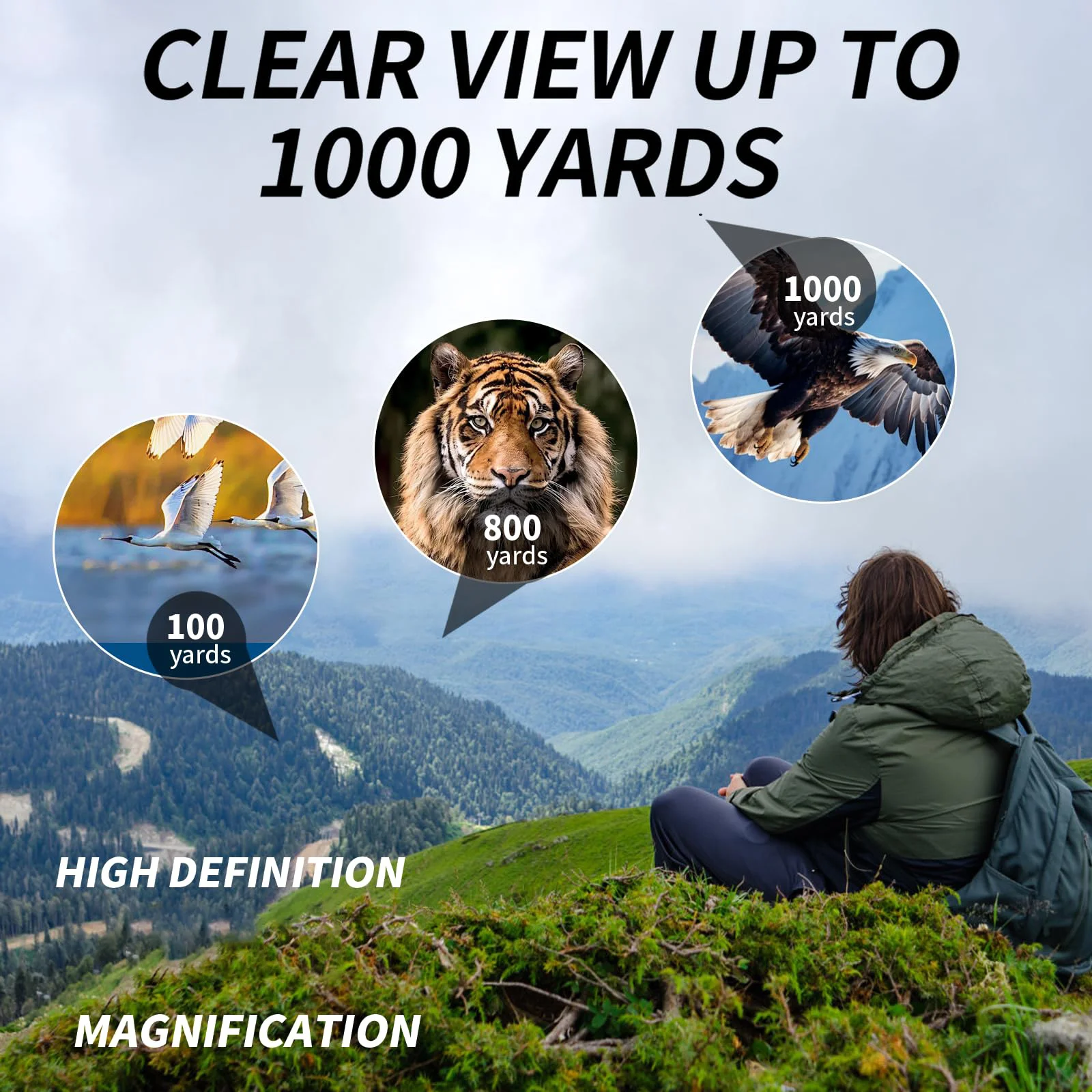 20x50 Binoculars FMC Coated BAK4 Prism Telescope IPX4 Waterproof Lightweight Portable Design for Camping Hunting Hiking