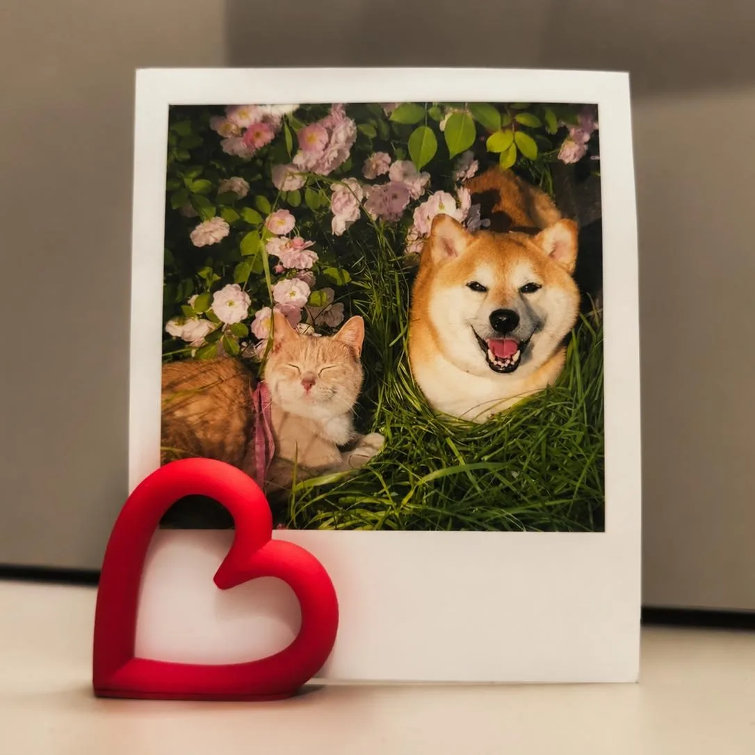 2 heart-shaped photo holder,instant photo,postcard to add romance to your home and desk,birthday,Thanksgiving,Christmas gift