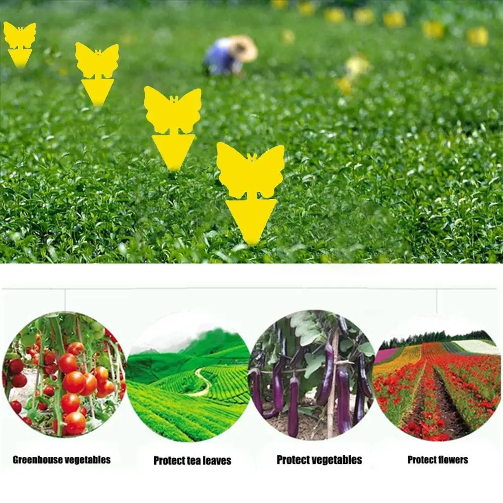 Landisun Fruchtfliegenfallen Pilzmückenfallen für Innen- und Außenbereich Gelbe Klebefallen für Fruchtfliegen Pflanzen Fliegende Insekten Fallen – Detail 3