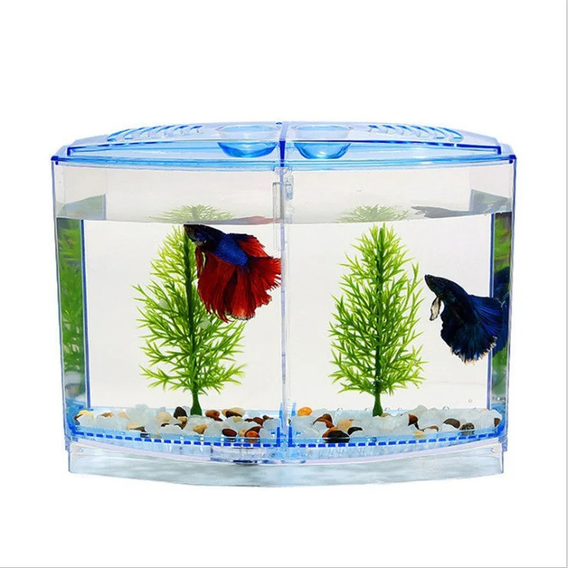 Transparent Betta Fish Tank with Water Grass Plastic Double-grid Betta Isolation Box Betta Isolation Box Single/Double Grid