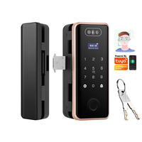 WiFi Remote Control Smart Facial Recognition Fingerprint Password Tuya Lock For Frameless Frame Push Sliding Door Lock