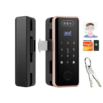 WiFi remote control smart face recognition fingerprint password Tuya lock frameless frame push sliding door lock WiFi remote control smart face recognition fingerprint password Tuya lock frameless frame push sliding door lock