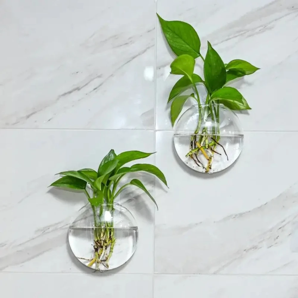 3Pcs Round Wall-Hanging Glass Vase Minimalist Transparent Hydroponic Planter Green Plant Decoration for Home and Garden Care