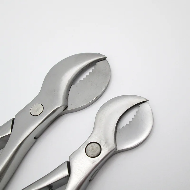 2Pcs Dental Plaster Shears Scissiors S/L Stainless Steel Forceps Gypsum Pliers and Teeth Technology Equipment Dentistry Material