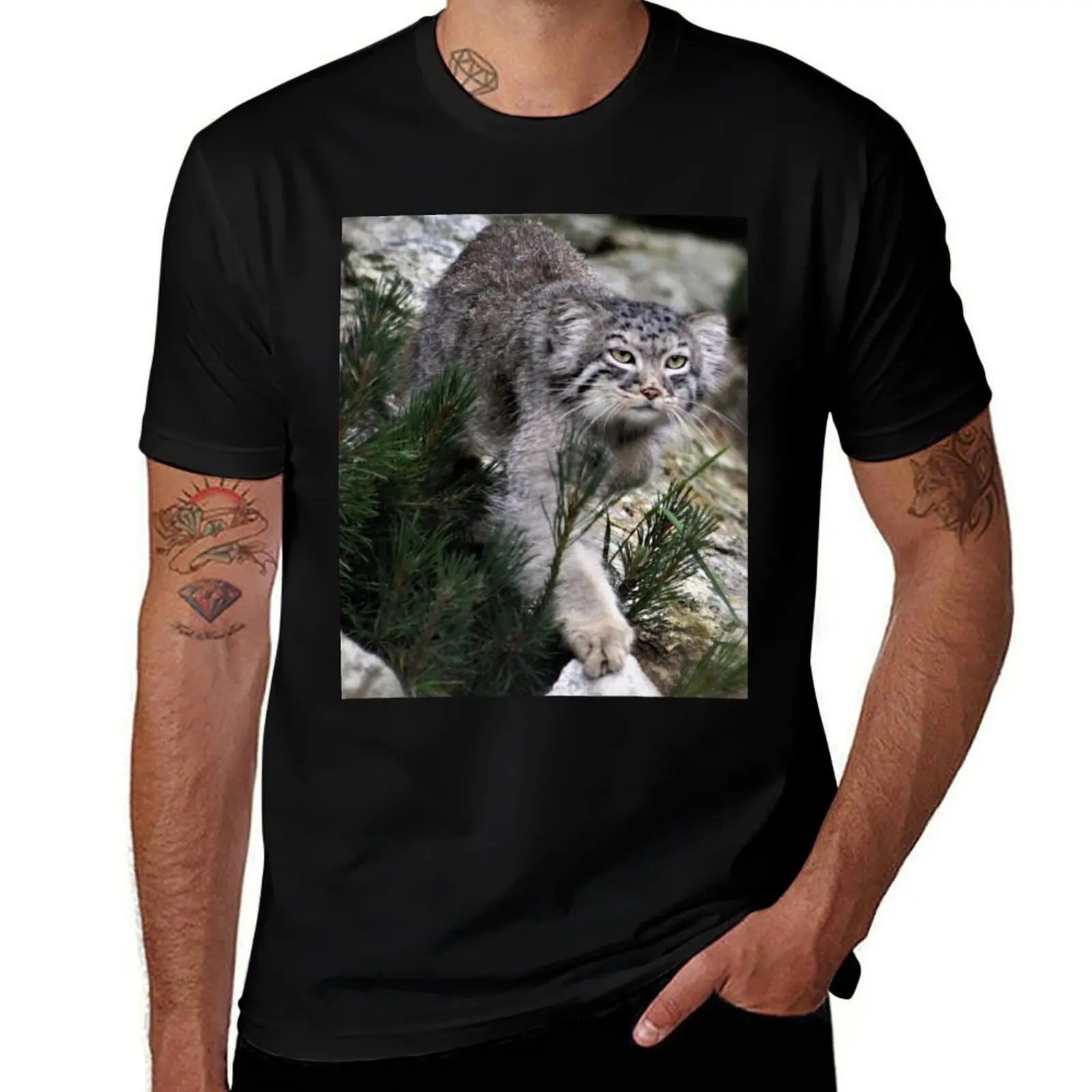 

Pallas Cat Prowl T-Shirt t shirt for man man t shirt summer T-Shirt