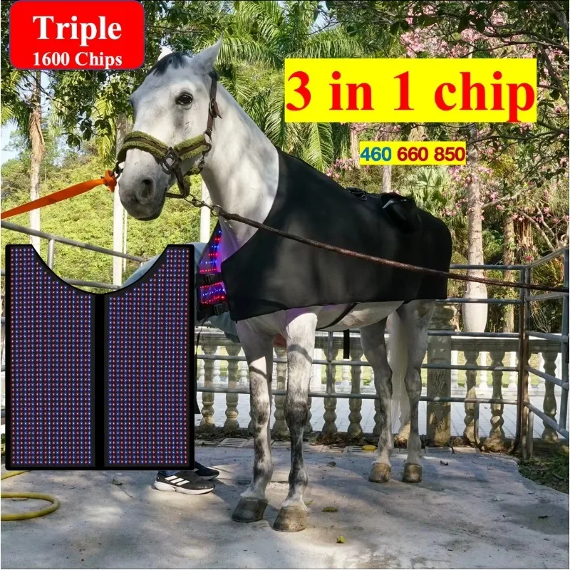 

Horse1600 Chips Leds Equine 460 660nm 850nm Infrared Red Light Therapy Blanket Blue&Red&NIR Pad Mat Back for Full Body