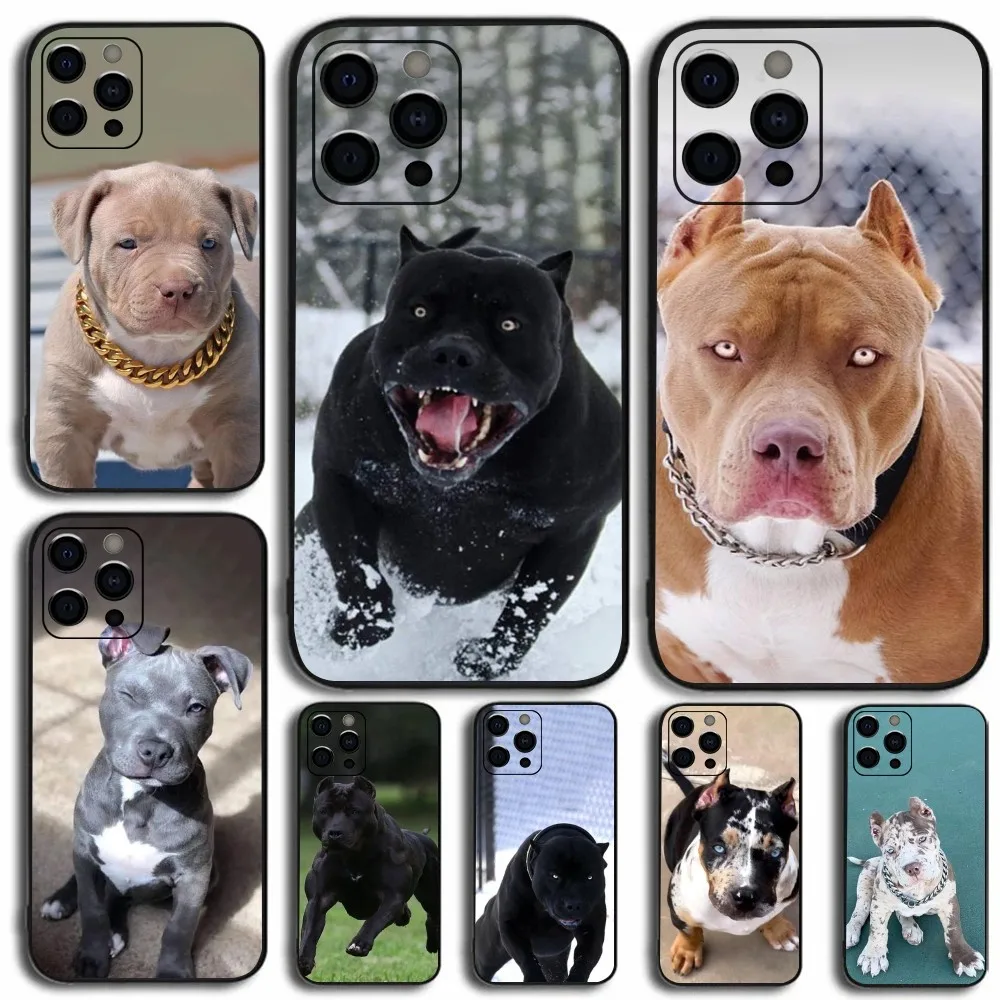 

Pit Bull Pet Dog Animal Phone Case For Apple iPhone 15,14,13,12,11,Pro,X,XS,Max,XR,Plus,Mini Soft Black Cover