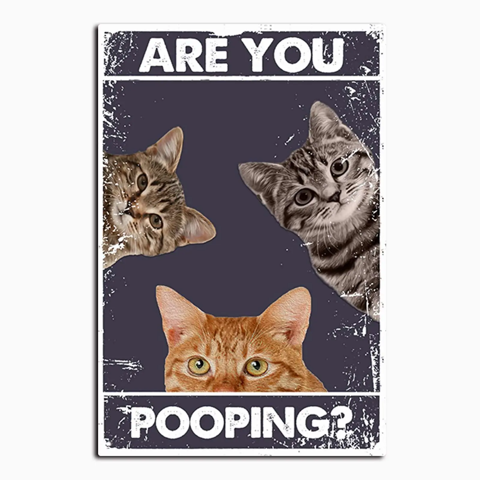 (Pintura en estaño 2D) Paneles metálicos divertidos para baño, gato divertido te llama 'caca', paneles de estaño divertidos