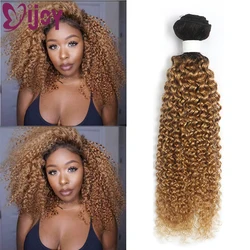 IChain-Bundles de tissage de cheveux humains bouclés crépus, Extensions de cheveux Remy brésiliens, Blond miel ombré, Y, 1 PC, 3/4 PCs