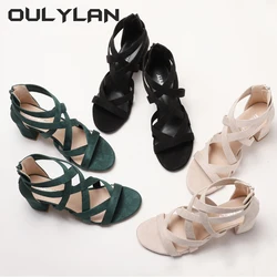 Summer Fashion Sandals  New Versatile Thick Heel Women's Shoes Rhinestone Roman Temperament High Heels Ladies Sandals