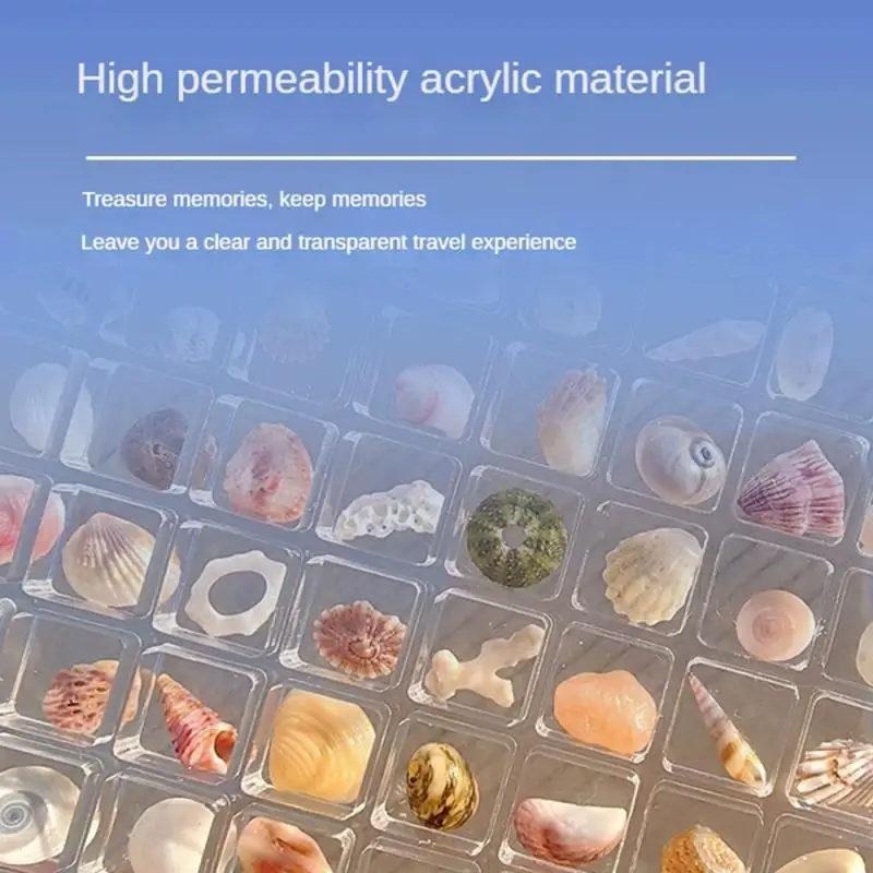 Acrylic Mini Display Box Marine Specimen Collect Conch And Shell Starfish Storage Transparent Box Jewelry Accessories Gift