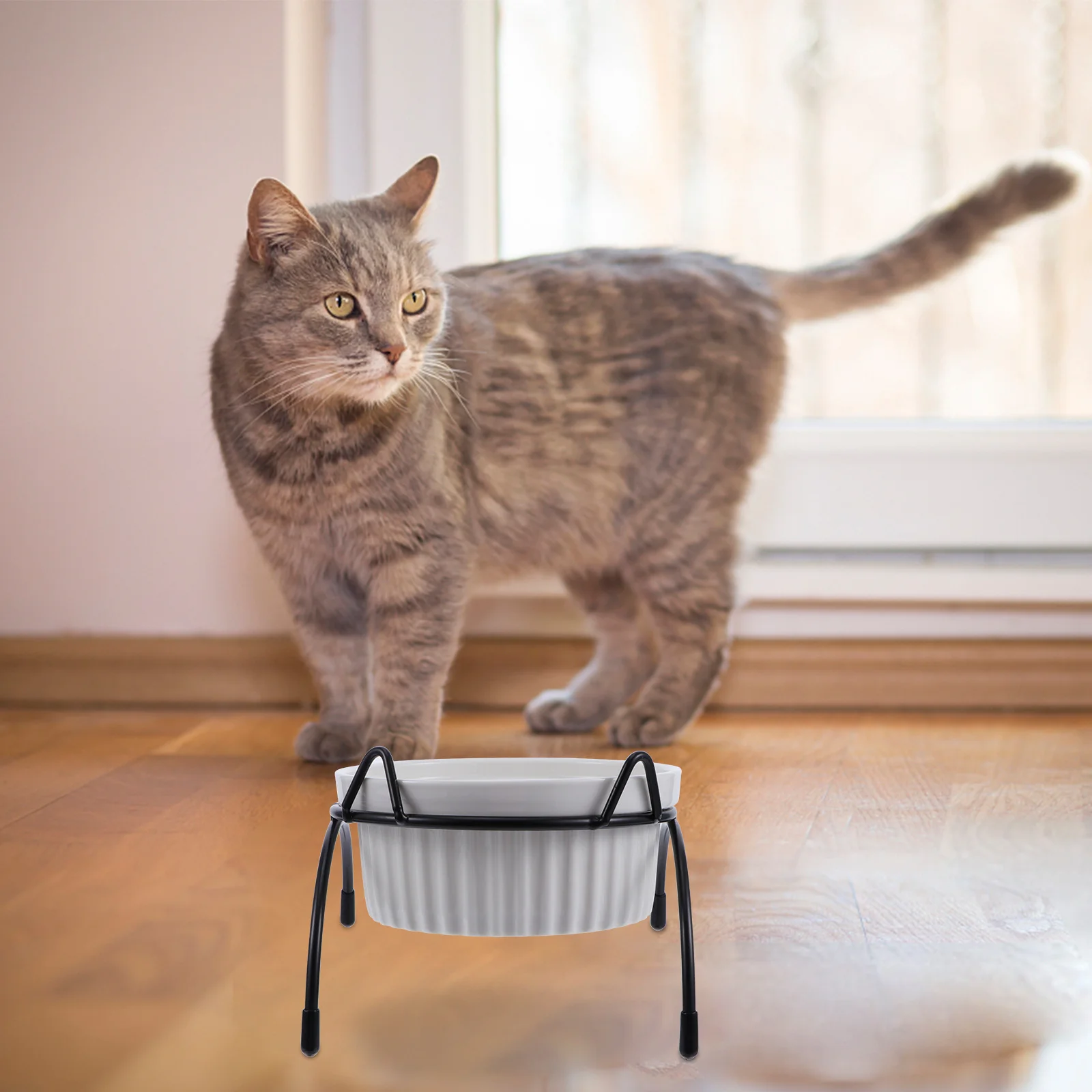 

1Pcs Ceramic Cat Feeding Bowl Raised Base Neck Protection Tilt Pet Food Bowl Feeder Comfortable Eating Helps Reduce Vomiting
