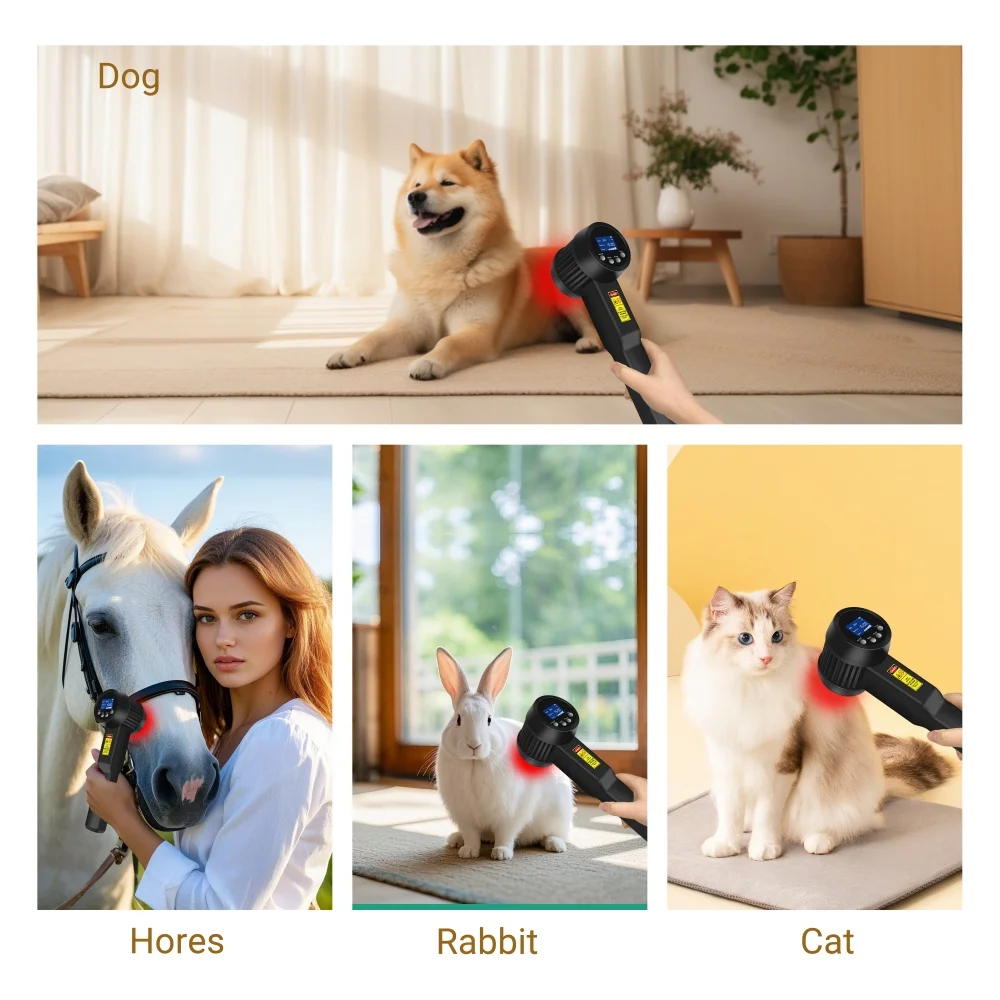 Dawfek 3W Medical Grade High Power Cold Laser Therapy for Human Vet 25 Diodes Sciatica Pain Relief Infrared Light Therapy Device