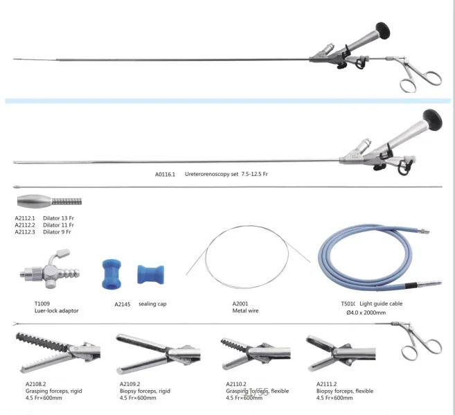 Surgical Urology Ureterorenoscopy Set/ureterorenoscope Instruments