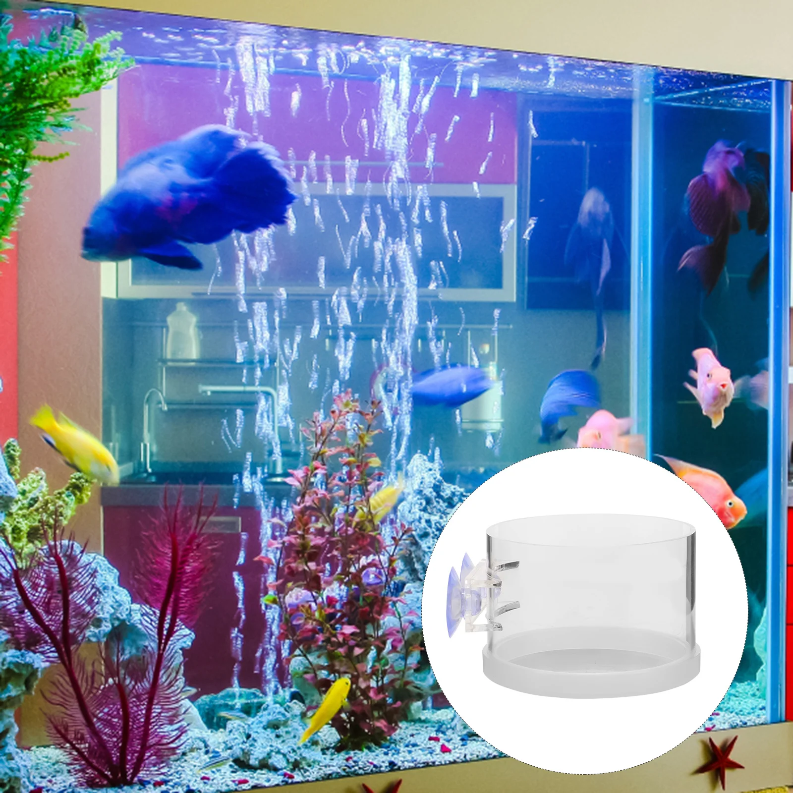 

Fish Tank Feeding Ring Floats Steady with Wall Mount Suction Cup Professional Acrylic Feeder for Small Aquarium Fish Feeding