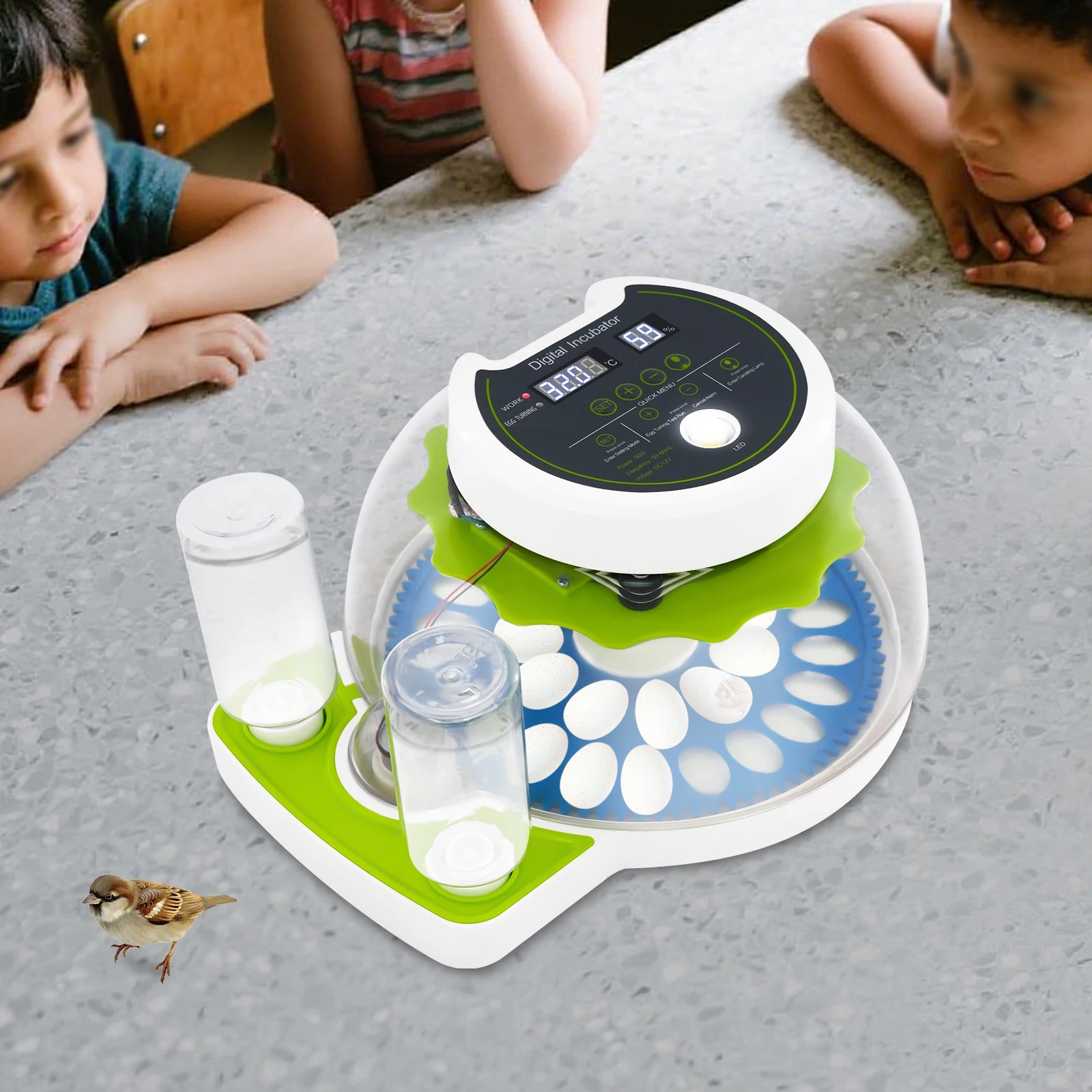 

Green +Blue Round ABS Multifunctional Poultry Quail Incubator Small Quail Brooder for Home Farm School