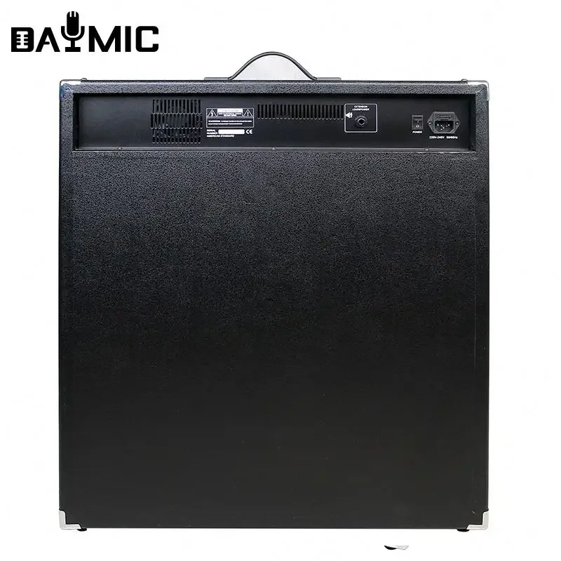 Professional 15 Inch 250W Acoustic Bass Guitar Keyboard Combo Amplifier Speaker For Stage DJ