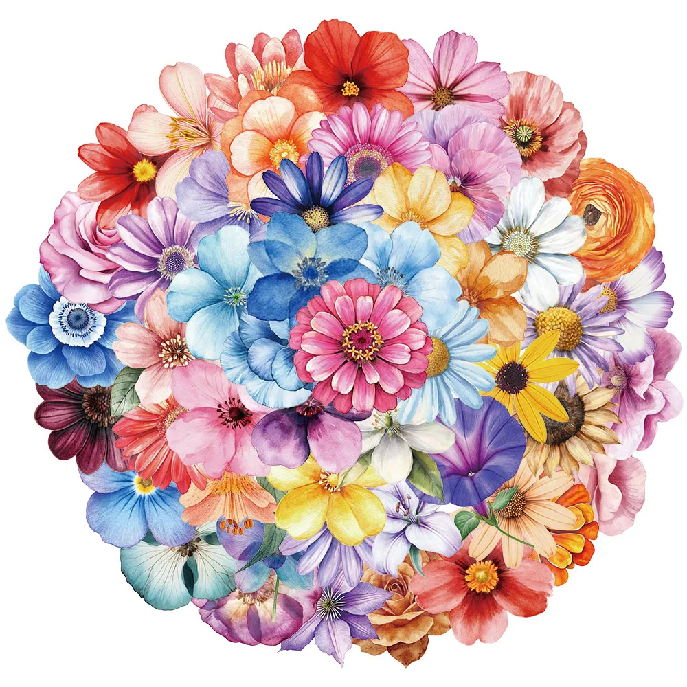 yZ[z50 NGCeBugt[CX^CXebJ[AV[XebJ[ADIY dbP[XAm[gubNAhXebJ[