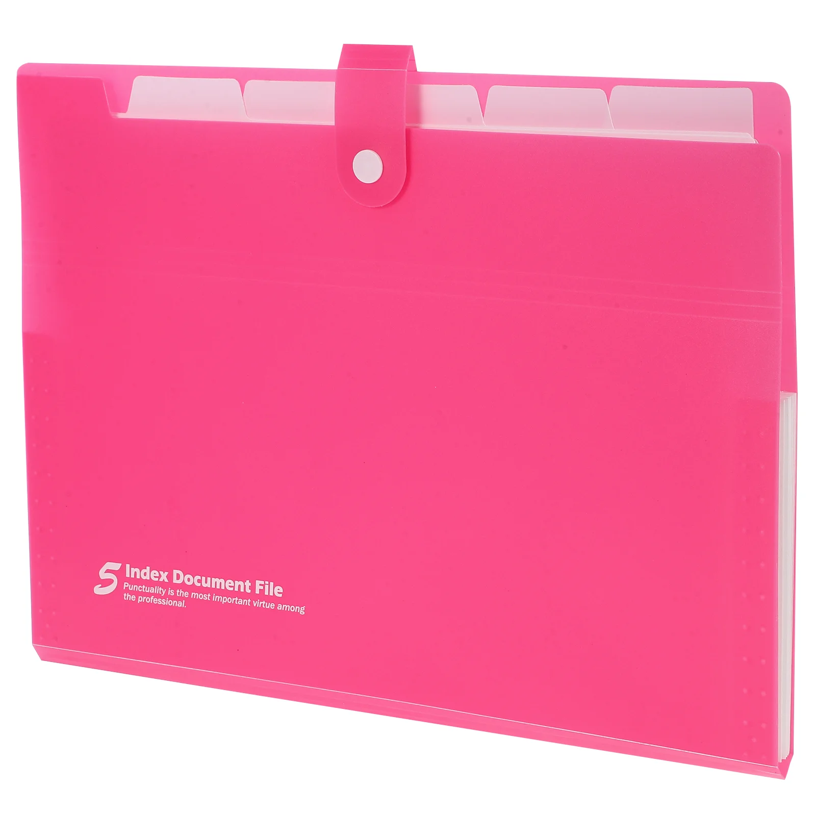 Multi-layered Organ Folder Paper Organizer Legal Size Folders for Documents Storage File Bag