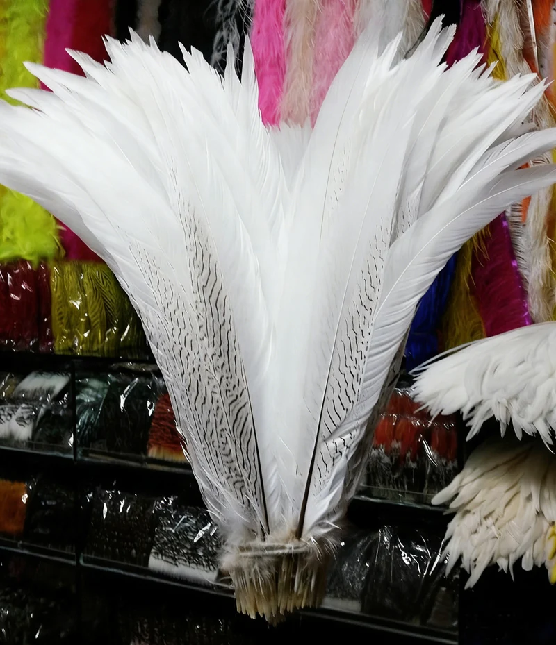 10Pcs/lot! 20-22inches 50-55cm Long Nature Silver Pheasant Tail Feathers,Long Feathers for Crafts,Wedding Bouquets,Diy Carnival