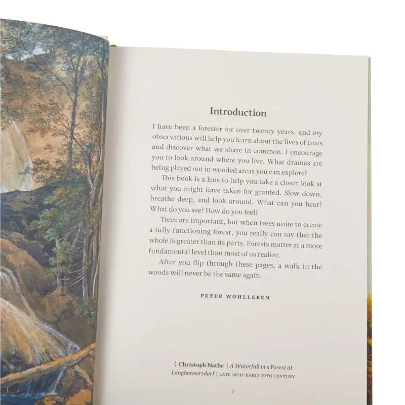 Kebijaksanaan Dari Kehidupan Tersembunyi Pohon Peter Wohlleben Greystone Books 9781778401404 Buku