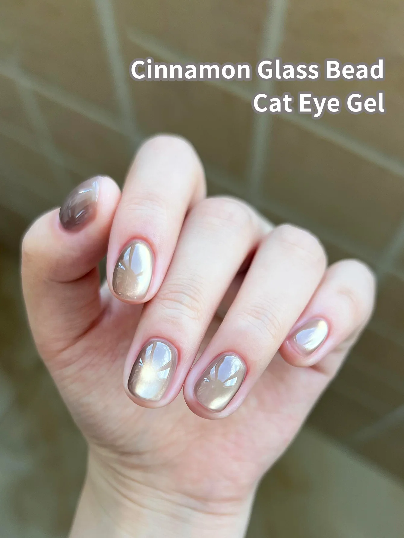 Perle de verre Cinnamomum Cassia pour chat, Gel magnétique brillant, paillettes Semi-permanentes, vernis UV à tremper, fournitures pour ongles, 10ml