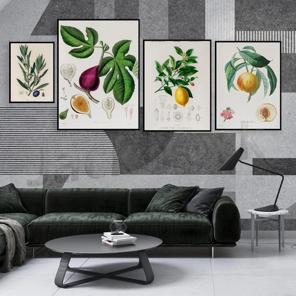 Botanica medica Illustrazione  - Plant Jackfruit recensione e prezzo
