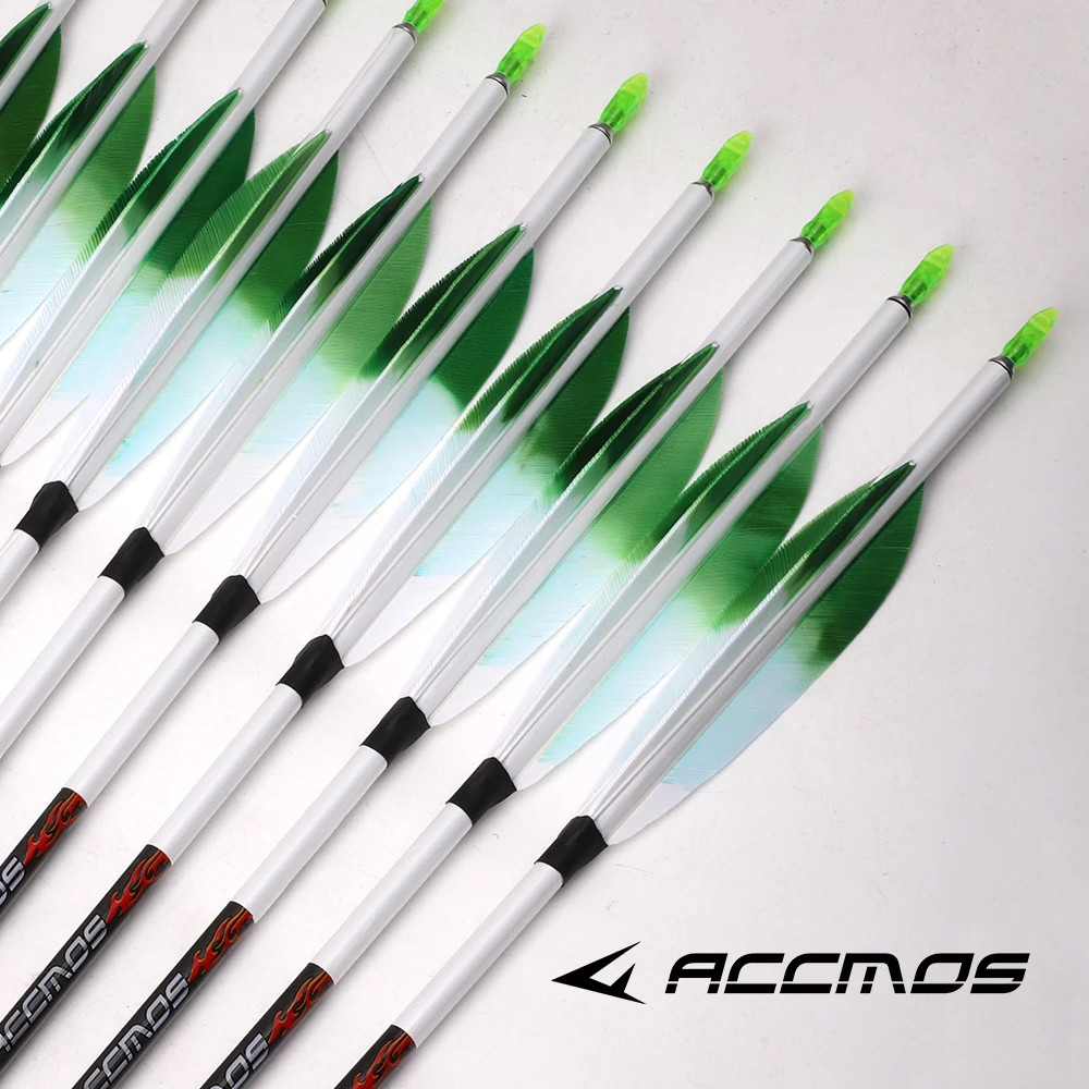 ID 6.2mm 6/12개입 양궁용 순수 카본 화살 스파인 200 250 300 400 500 600 700 800 샤프트 스티커 포함 5인치 그라데이션 깃털