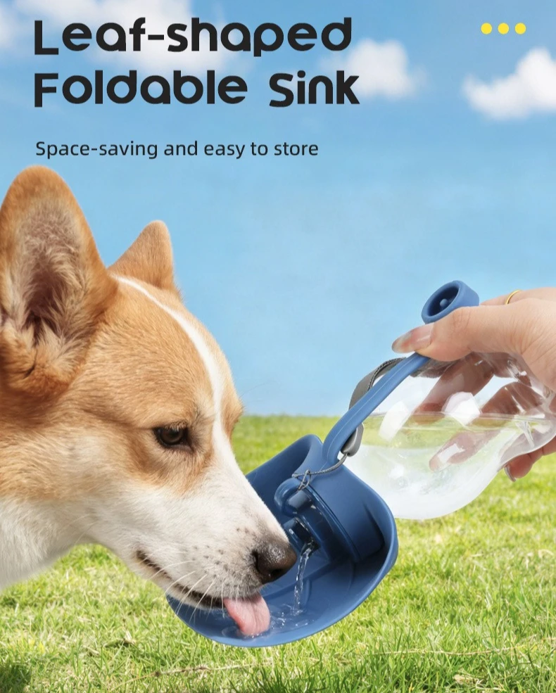 Sport Portable Pet Dog Water B - Outdoor Sport Glass Water Bottle review and price