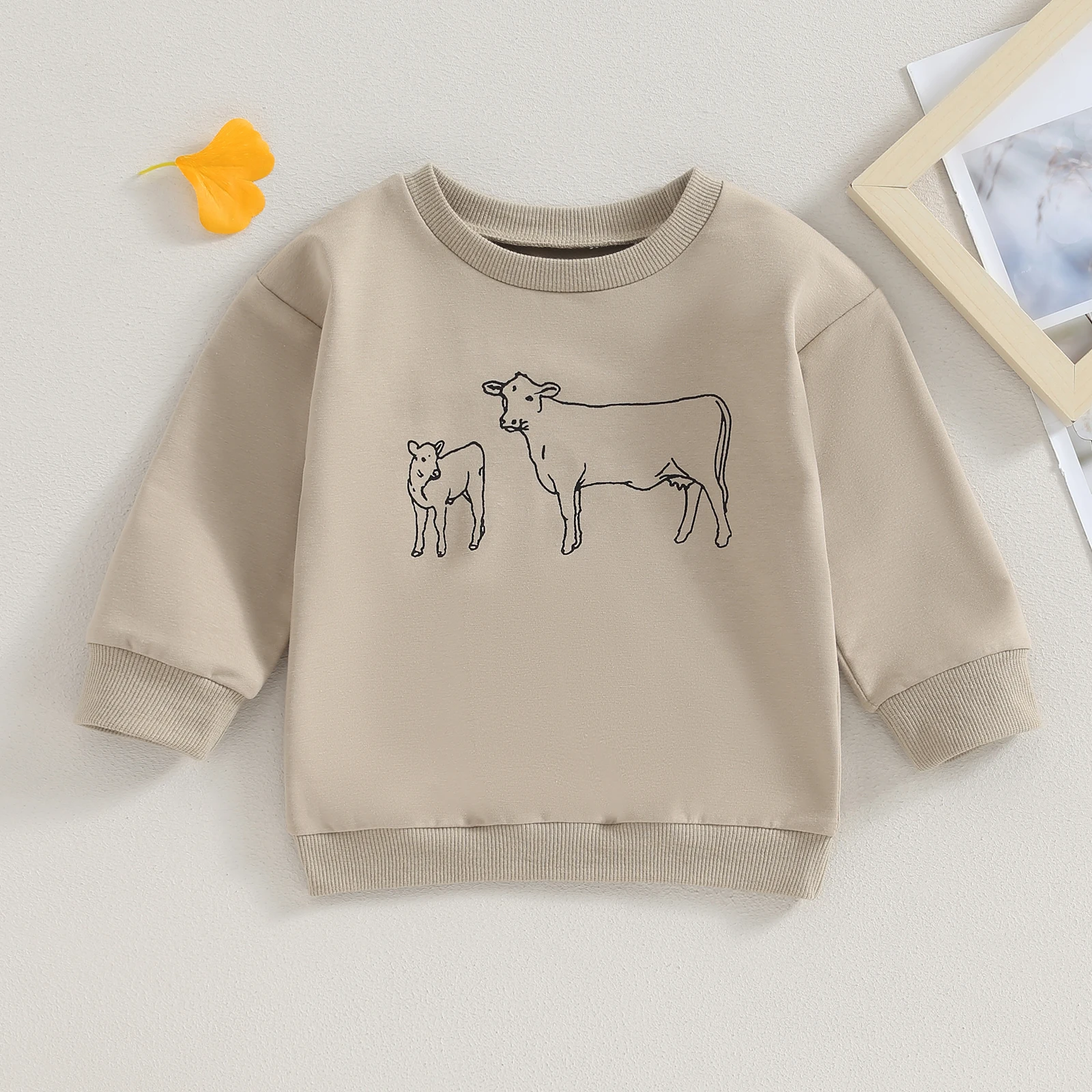 Citgeett Autumn Kis Toddler Boy Fall Sweatshirt Long Sleeve Print Pullover Loose Tops Spring Clothes