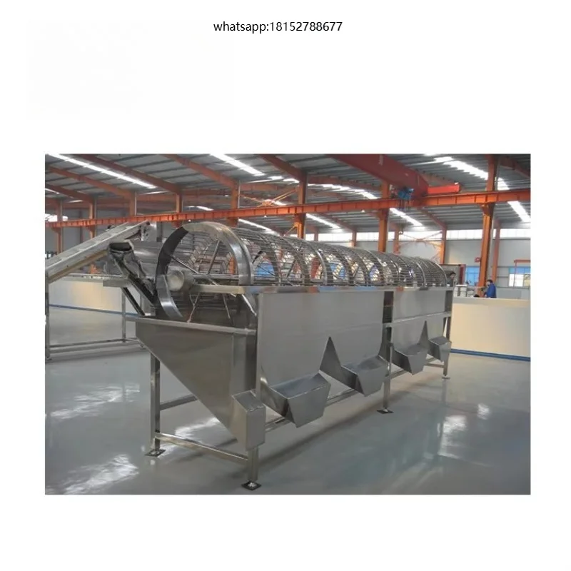 Factory Supply Price Industrial Round Shape Vegetables and Fruits Rotary Drum Grader Sorting Cherry Tomato  Mushroom Orange