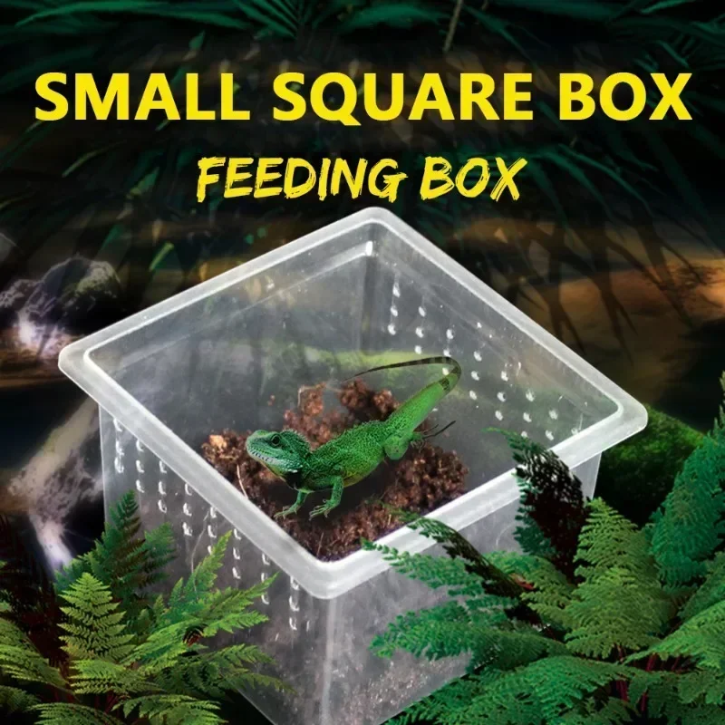 Plastic Reptile Breeding Box Transparent Terrarium Habitat Insect Spider Lizard Scorpion Feeding Box Arboreal Enclosure Case