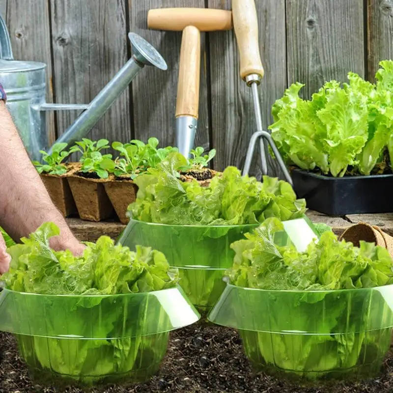 

Plant Protection Cloches Scientific Small Snail Control Vegetable Protection Cover To Prevent Pests For Parks Vegetable Plots