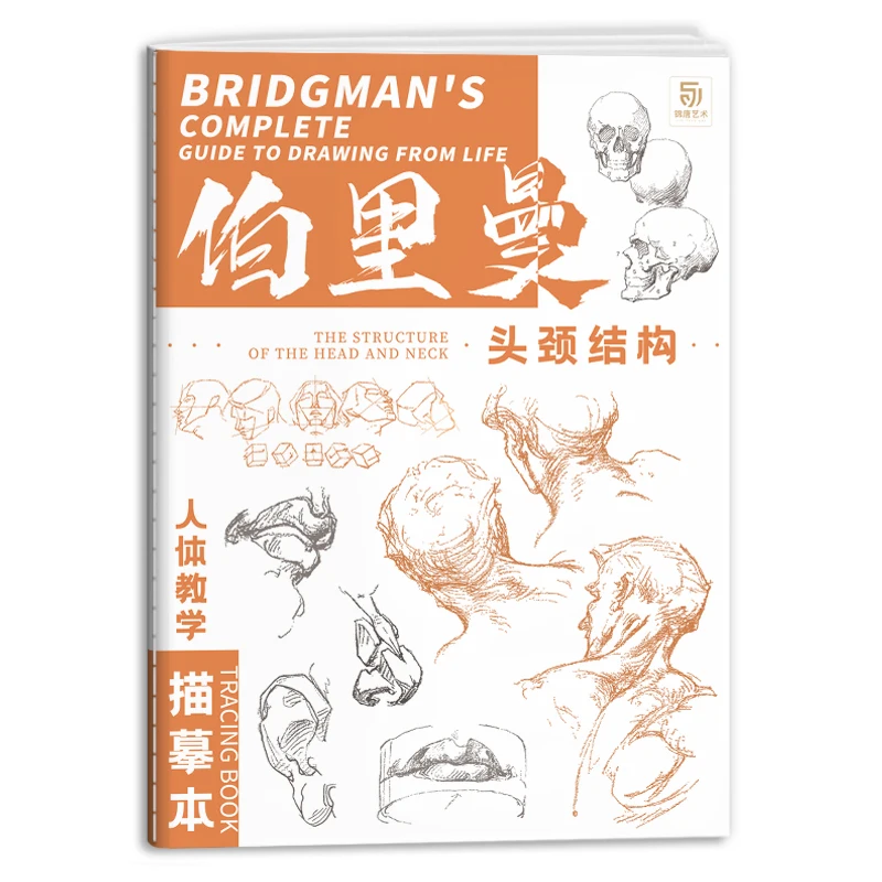 Bridgman's Complete Guide To Drawing From Life Tracing Sketch Hand Painted Tutorial Book Copy Practice Line Draft Practice Books