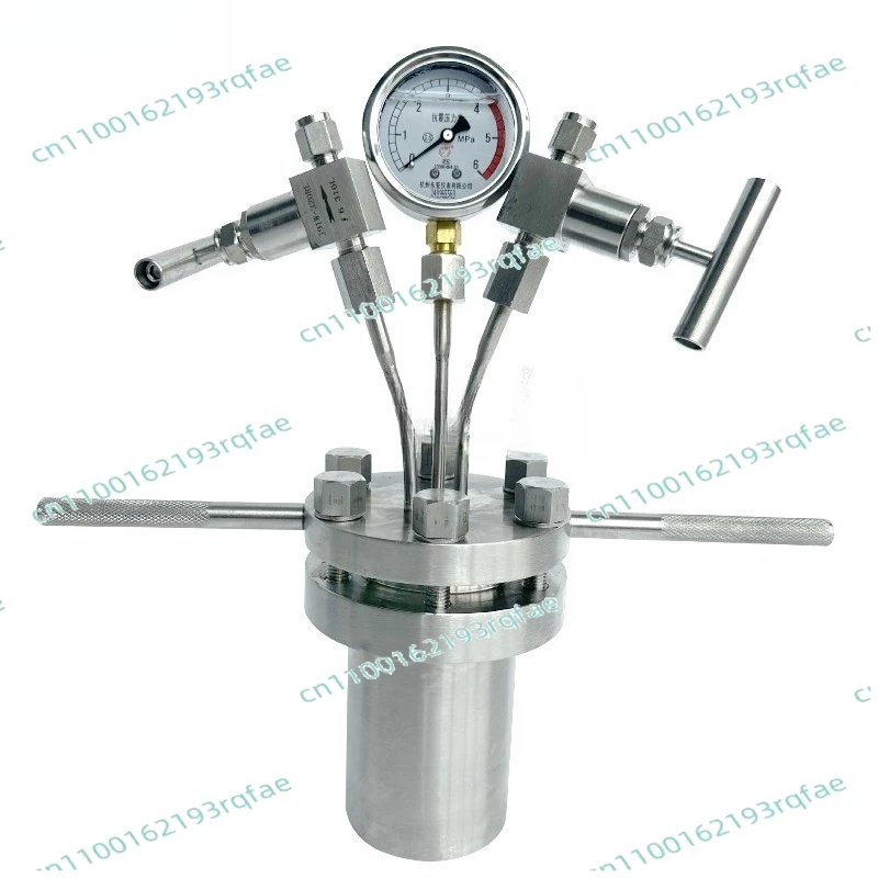 

The Reactor Of Hydrothermal Synthesis Autoclave Can Connect Hydrogen With PTFE Lining Pressure Gauge, With A Pressure Of 180C