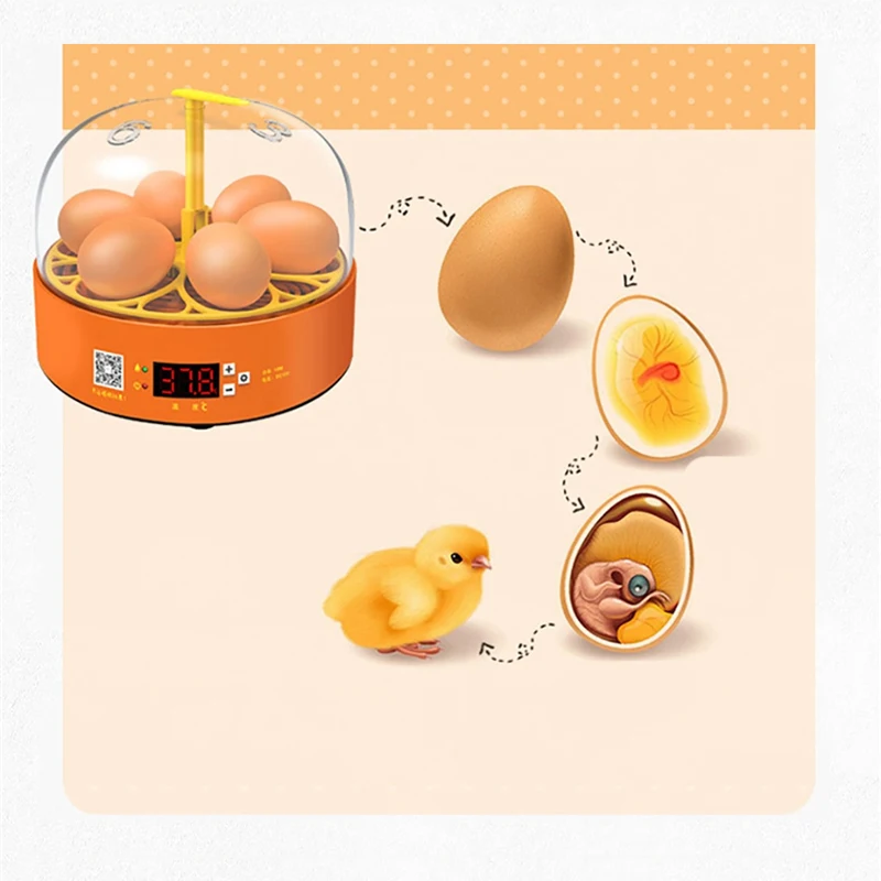 6 Eggs Fully Automatic Turning Hatchery Incubator Egg Brooder Machine Mini Household Digital Temperature Control Hatching Device view 2
