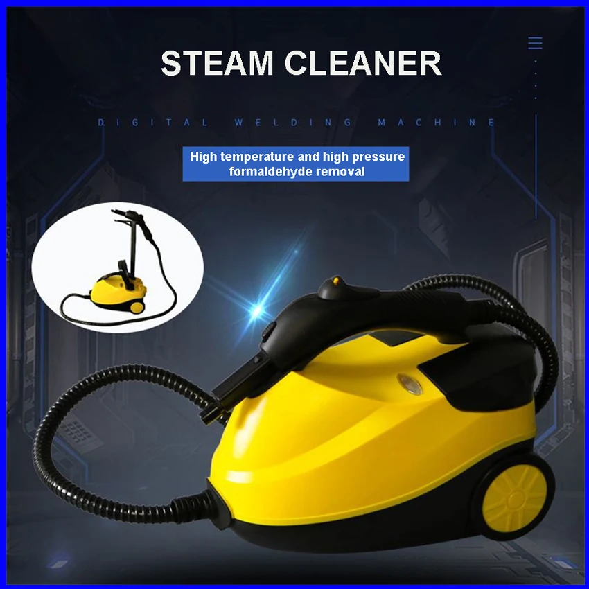 

2000W 4Bar High Temperature Steam Cleaner Sterilization Kill Mites Disinfector Air Conditioning Kitchen Hood Car Cleaner