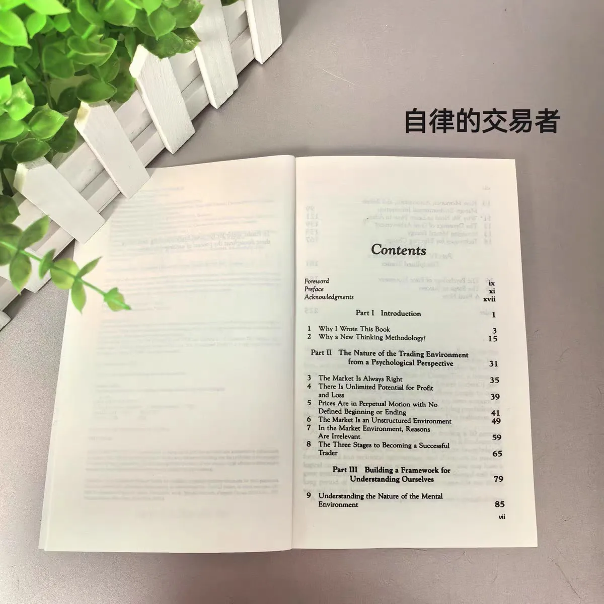 The Disciplined Trader By Mark Douglas Developing Winning Attitudes Paperback English Book