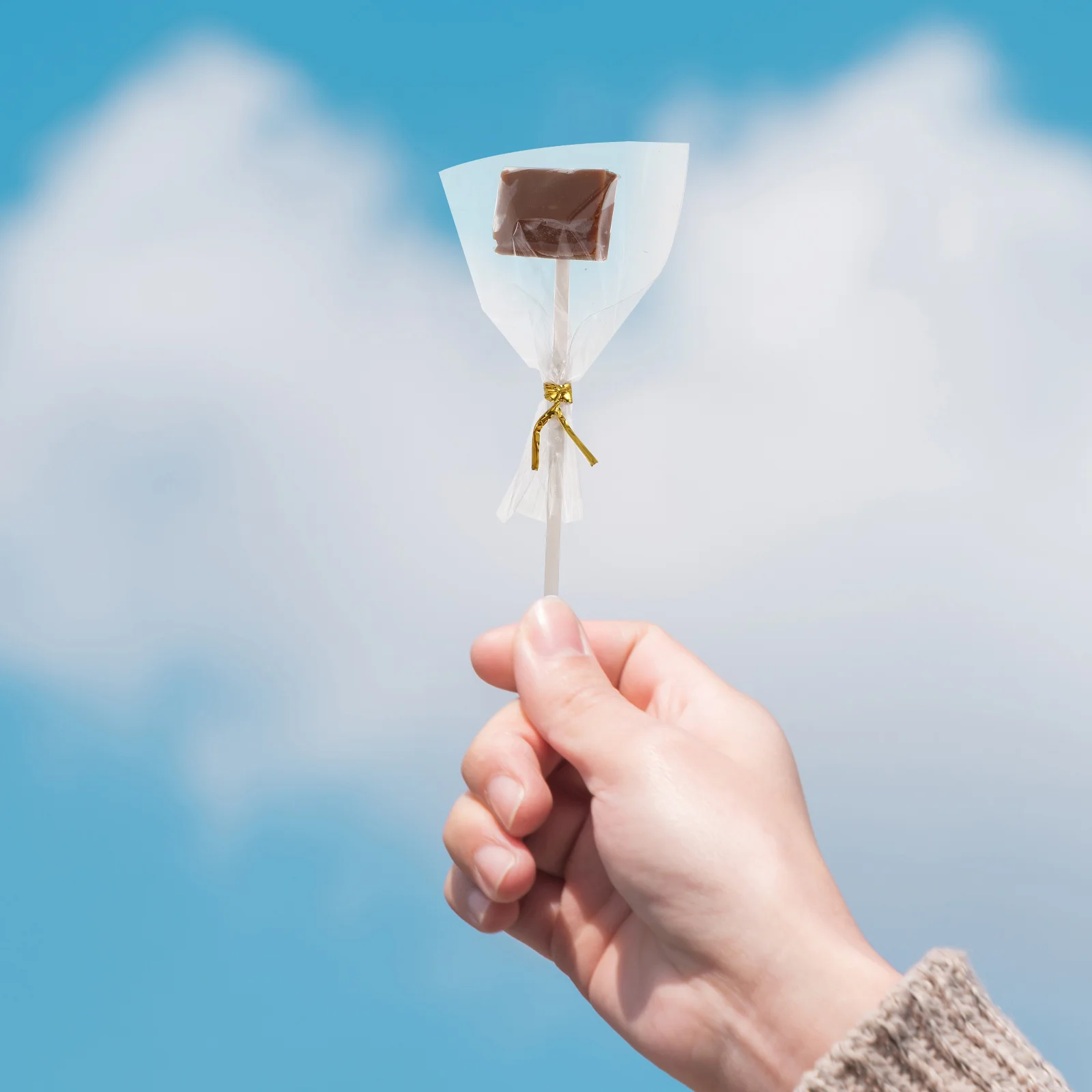 

1set 1Set Cake Pop Sticks Cake Decoration Supplies Lollipop Making Tools For Chocolates Cookies Candies Desserts Party Favor Kit